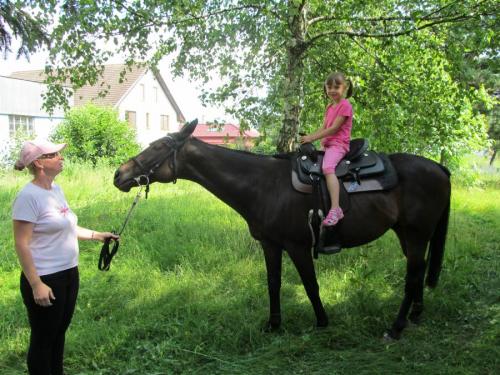 Atrakcia pre deti bola vozenie na&nbsp;koníkovi, ktorého poskytla rodina Piatriková